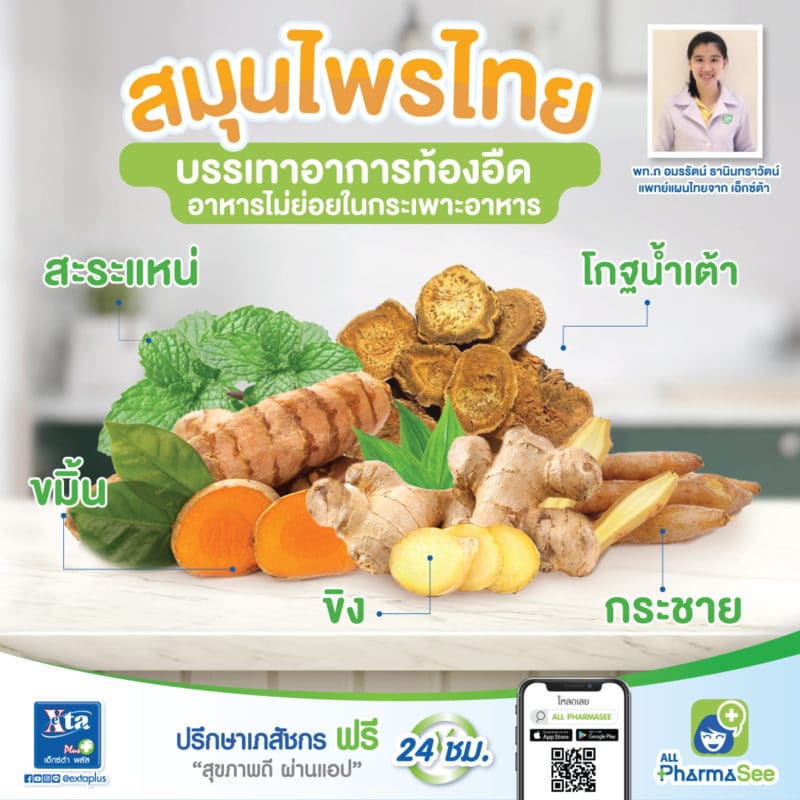 สมุนไพรไทย-บรรเทาอาการท้องอืด-อาหารไม่ย่อยในกระเพาะอาหาร