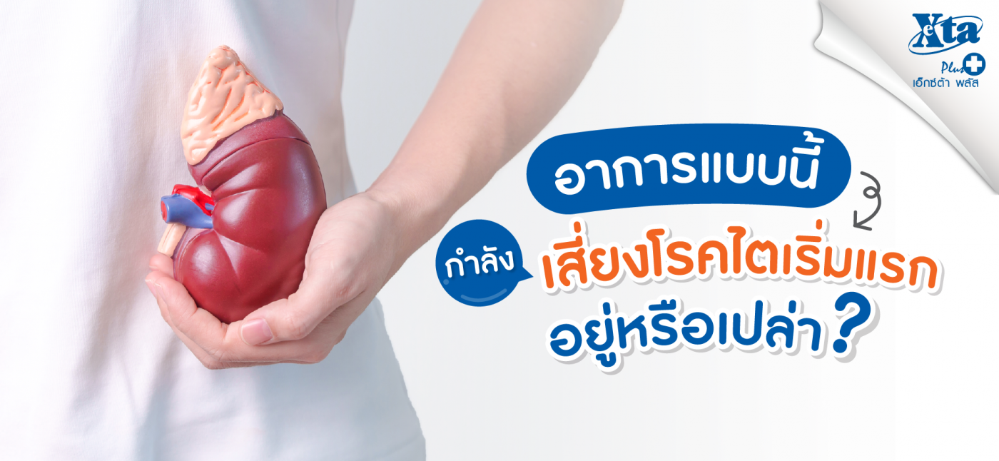 ทำความรู้จักกับ อาการของโรคไต และสัญญาณระยะเริ่มแรกให้มากขึ้น